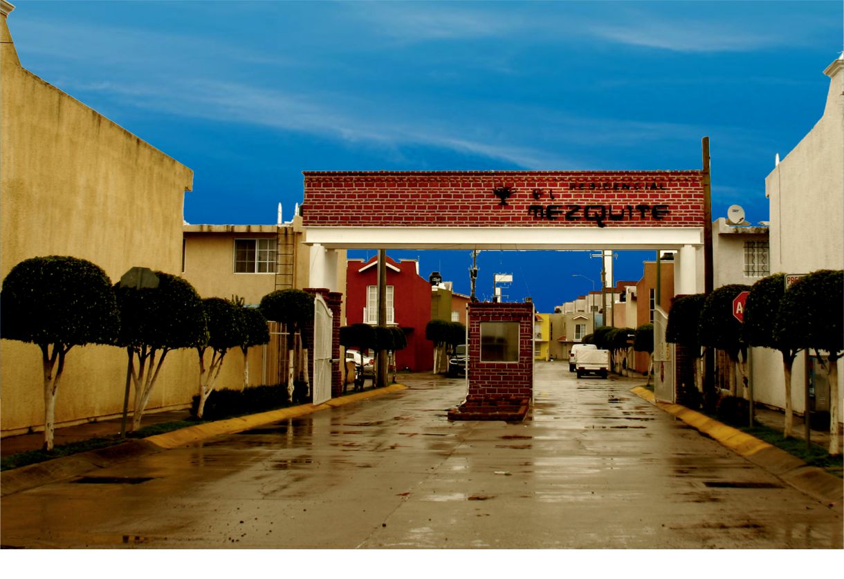 el-mezquite 2001-2004